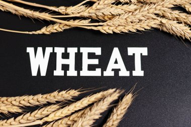 Ekranda altta ve üstte buğday kulakları görünüyor. Ortasında bir yazı var. Koyu arkaplan.