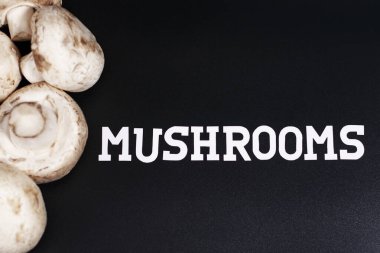 Şampiyonlar grubu. Ekranın sol yarısında yer alıyor. Sağdaki yazıt mantarlar. Koyu arkaplanda.