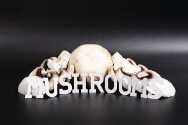 Grup şampiyonları bir slayt şeklinde dizildi. Bazıları dilimlere ayrılmış. MUSHROOMS 'un altındaki yazıt bir yay şeklindedir. Yan görünüm.