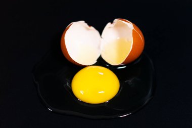 Siyah arka planda yumurta tavuğu. Kapat.