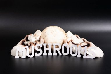 Grup şampiyonları bir slayt şeklinde dizildi. Bazıları dilimlere ayrılmış. MÜZİKA 'nın altındaki yazıt.