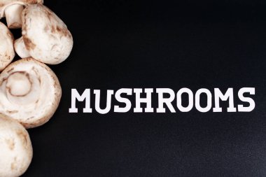 Şampiyonlar grubu. Ekranın sol yarısında yer alıyor. Sağdaki yazı mantarlar..