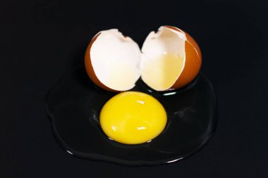 Siyah arka planda yumurta tavuğu.