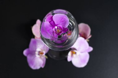 Bir bardak şarabın etrafında çeşitli tonlarda leylak rengi orkide çiçekleri. İçinde bir falaenopsis var..