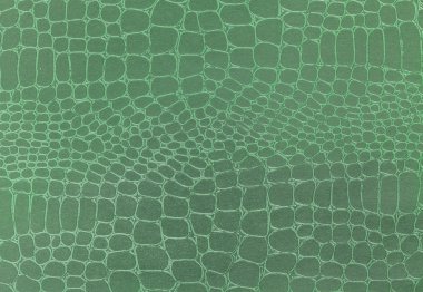 Yeşil deri doku arka plan. Portre fotoğraf.