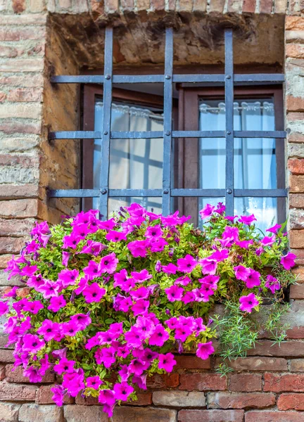 Ventana con una gran cama de flores de color lila . — Foto de Stock