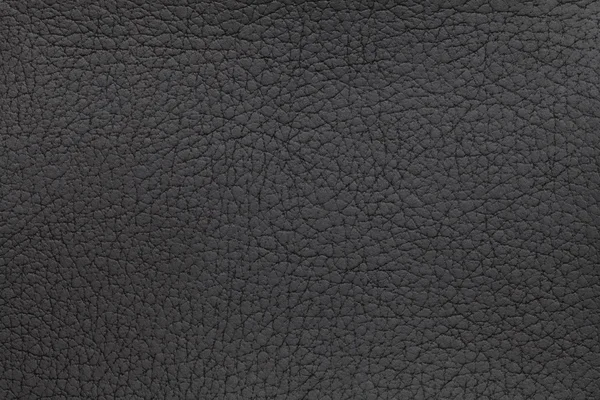 Fond texture cuir noir. Photo rapprochée. Peau de reptile . — Photo