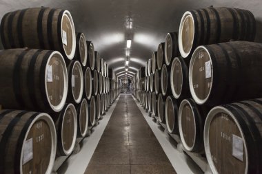 Büyük meşe Fıçıların içinde karanlık bir bodrumda satırlarının. Şarap üretimi için bitki.