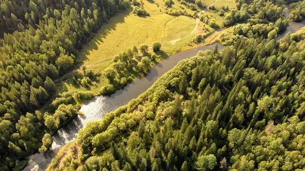 Vista Aérea Drone Sobre Curva Rio Prado Floresta Caminho Solo — Fotografia de Stock