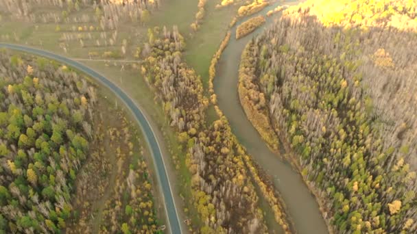 Vista aérea desde un dron sobre un río curva, bosque calvo y carretera asfaltada. — Vídeo de stock