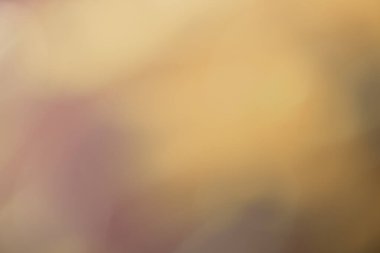 Bulanık koyu bej ve altın arkaplan. Çözülmüş sanat soyut açık kahverengi gradyan arkaplan bulanık ve bokeh ile. Bulanık duvar kağıdı.