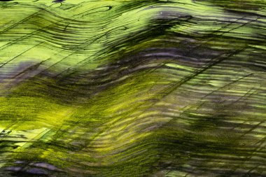 Soyut sanat arka planı koyu yeşil ve siyah renkler. Tuval üzerine suluboya boya boya, zeytin dokunuşları ve sıçrama. Kağıt üzerinde fırça darbeleri dalgalı desenli akrilik çizimler. Doku arkaplanı.