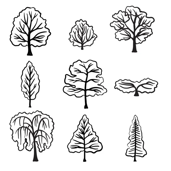 Conjunto de varios tipos de árboles dibujados a mano . — Archivo Imágenes Vectoriales