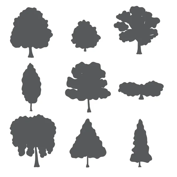 Conjunto natural vectorial de árboles forestales . — Archivo Imágenes Vectoriales