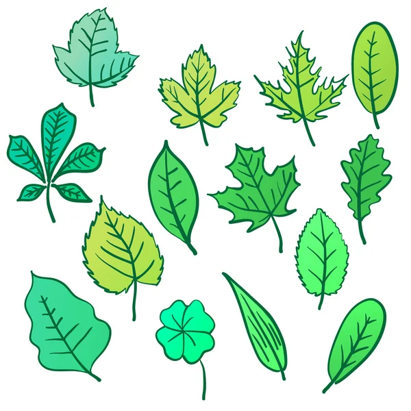 세트는 흰색 바탕에 디자인에 대 한 격리 leafs. — 스톡 벡터