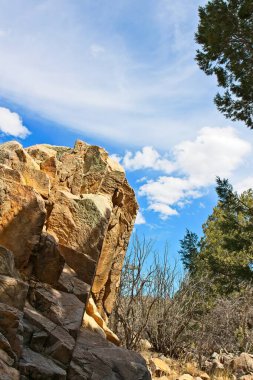 Prescott, Arizona 'daki Fain Park' ta engebeli kaya oluşumları.