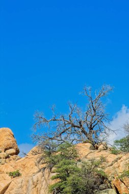 Granite Dells, Prescott, Arizona 'yı sallıyor. Bulutlar gökyüzünde.