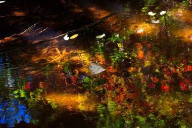 Deredeki canlı sonbahar yapraklarının yansımaları. Sedona, Arizona