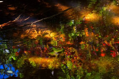 Deredeki canlı sonbahar yapraklarının yansımaları. Sedona, Arizona