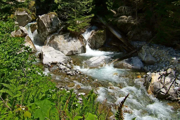 Orman kayalık akarsu