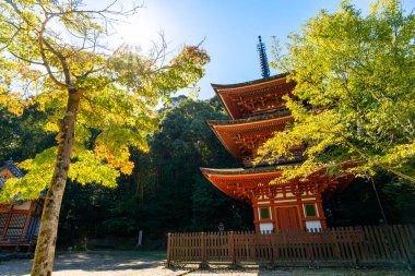 Nara 'daki Ryousen-ji Tapınağı, Japonya' daki Nara Bölgesi. (10-07-2025 'te çekildi.)