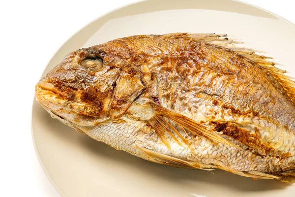 Grilled whole sea bream served on a plate on white background