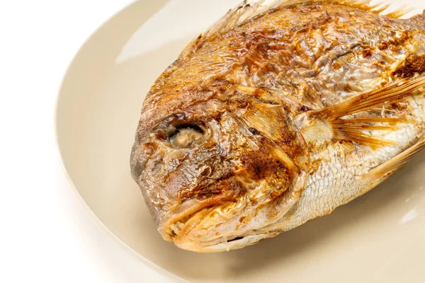 Grilled whole sea bream served on a plate on white background