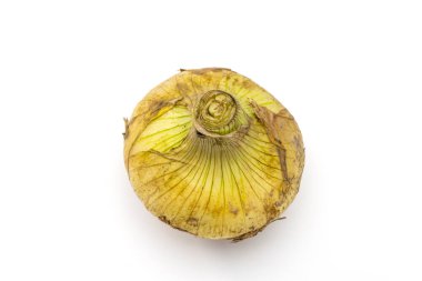 Taze taze taze soğan ve beyaz arkaplan