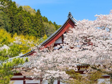 Yamatokoriyama City 'deki Yata-dera tapınağı, Japonya' daki Nara Bölgesi. (Fotoğraf 04-09-2025)