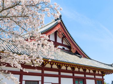 Yamatokoriyama City 'deki Yata-dera tapınağı, Japonya' daki Nara Bölgesi. (Fotoğraf 04-09-2025)