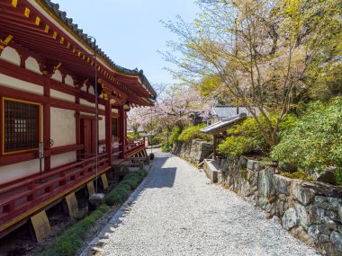 Yamatokoriyama City 'deki Yata-dera tapınağı, Japonya' daki Nara Bölgesi. (Fotoğraf 04-09-2025)