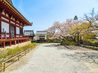 Yamatokoriyama City 'deki Yata-dera tapınağı, Japonya' daki Nara Bölgesi. (Fotoğraf 04-09-2025)