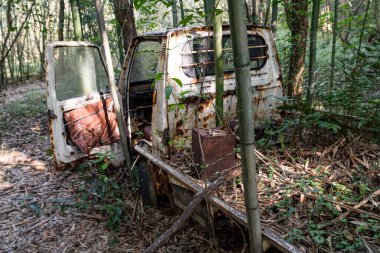 Terk Edilmiş Rusty Mini Kamyonu Bambu Ormanı 'nda