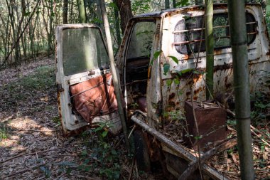 Terk Edilmiş Rusty Mini Kamyonu Bambu Ormanı 'nda