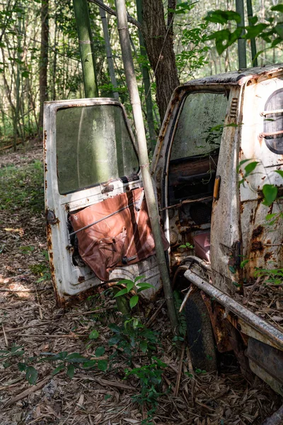 Terk Edilmiş Rusty Mini Kamyonu Bambu Ormanı 'nda