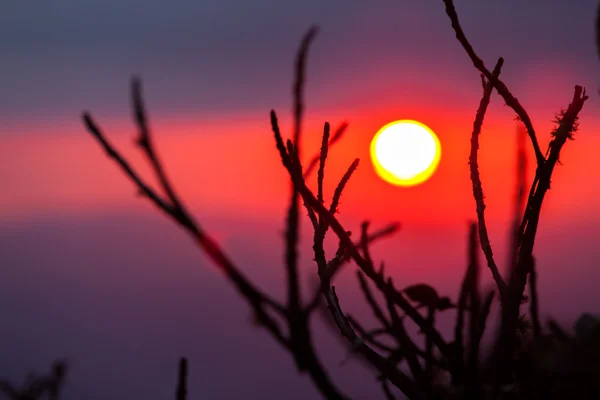 Sopa arkasında renkli günbatımı — Stok fotoğraf
