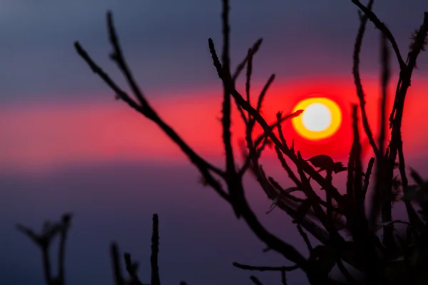 Puesta de sol de color detrás de palos —  Fotos de Stock