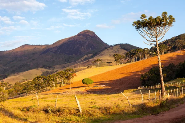 Pico do Papagaio - rocky mountain in Brazil — Stock Photo, Image