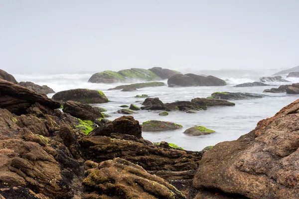 Praia nebulosa com rochas e névoa — Fotografia de Stock