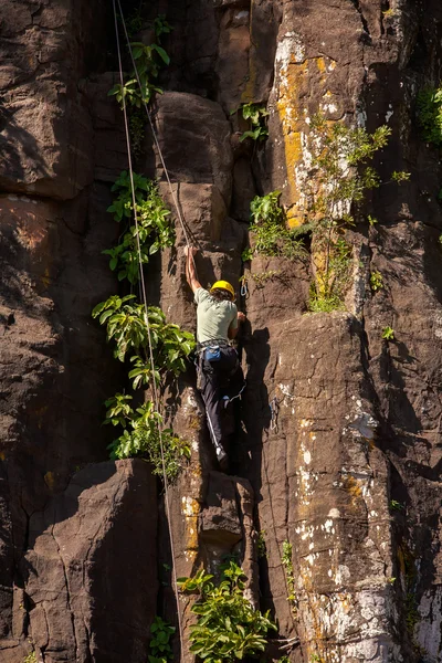 Rock klimmer in Iguazu Nationaal park basalt stenen — Stockfoto