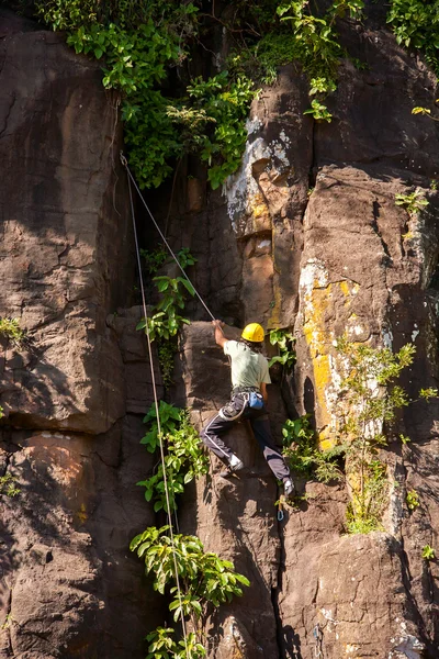 Rock klimmer in Iguazu Nationaal park basalt stenen — Stockfoto