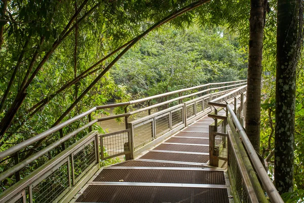 Yaya köprüsü Iguazu national Park - Arjantin