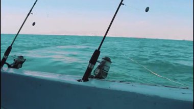 İki olta kamışı dalgalı bir turkuaz denizde bir tekneye konur. Uzak ufuk, açık bir günde pek çok kargo gemisi ve soluk bir kıyı şeridiyle meşguldür.