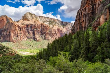 Zion Ulusal Parkı 'nda yüksek kızıl kayalıkların, yeşil ormanın ve dramatik bulutların manzarası