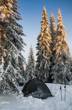 Tent in the mountains. Winter morning