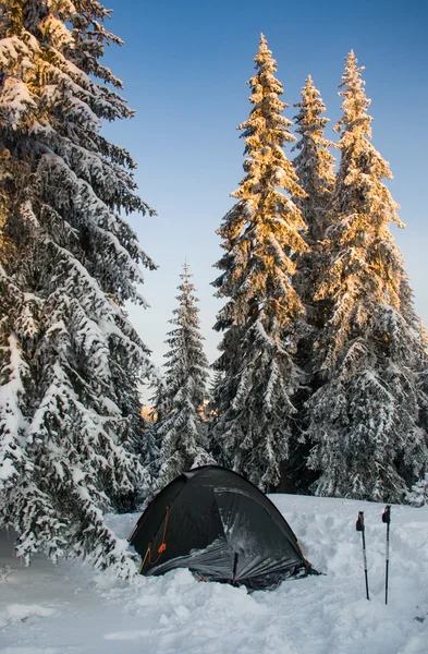 Tent in the mountains. Winter morning