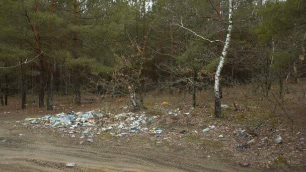 Escombros dispersos en el bosque — Vídeo de stock