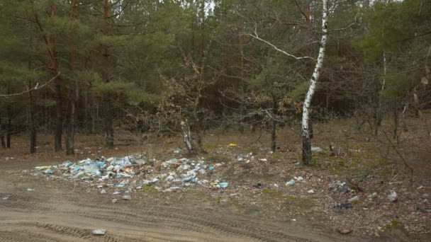 Spridda skräp i skogen — Stockvideo