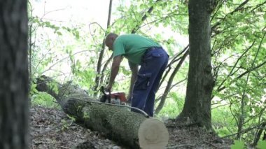 Adam ahşap testere testere ile kesme