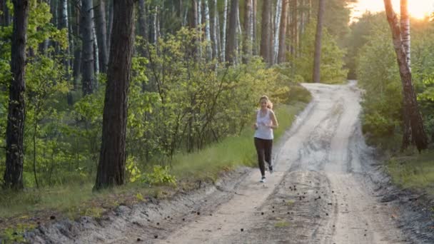 Jeune femme courant le matin dans la forêt 